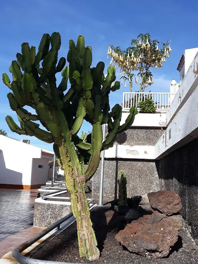 Apartmán I Love Tenerife! I Love Island Village! Costa Adeje  Španělsko
